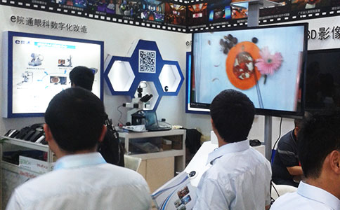 �����t(y��)����(hu��)չ���F(xi��n)��(ch��ng)