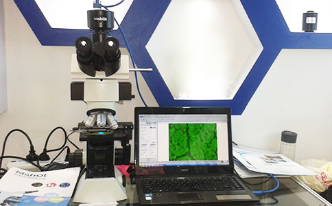 �����t(y��)����(hu��)չ���F(xi��n)��(ch��ng)