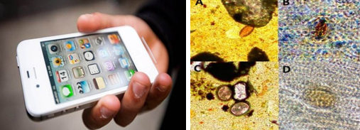 智能手機升級為數(shù)碼顯微鏡