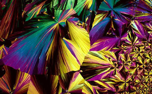 �R����Ƶ��_��ɫ��