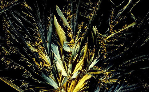 �@�ǷŴ�1000����Ӣ������ơ��΢�;����Y(ji��)��(g��u)�D