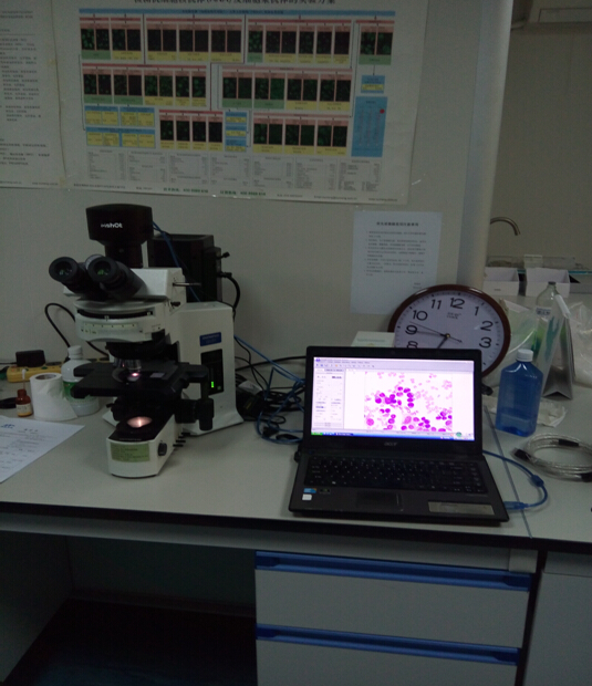 現(xiàn)場(chǎng)圖片