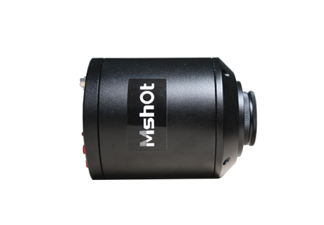 �@΢�R�z���^ MD26