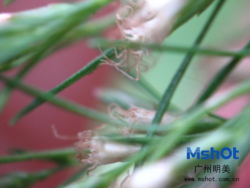 �@΢��(sh��)�a���C(j��)